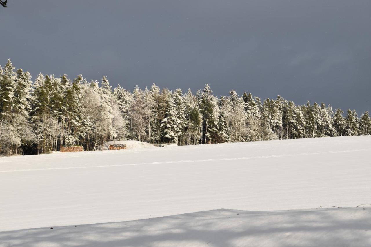 Villa Rosa Pfreimd Eksteriør billede